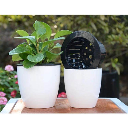 Lazy Flower Pots Self Watering Planter, 11cm Diameter - white double-layer self-watering pot with inner basket and green houseplant