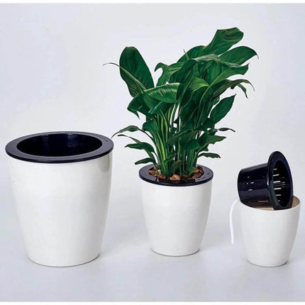 Lazy Flower Pots Self Watering Planter, 11cm Diameter - white double-layer self-watering pot set with plant and removable inner basket