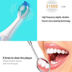 QYG Q2 Sonic Electric Toothbrush with IPX7 Waterproof Design and Battery Power