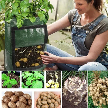 Sacs de culture de pommes de terre de 7 gallons pour le jardin domestique