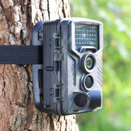 Suntek Trail Camera for Outdoor Wildlife Surveillance mounted on a tree capturing daytime color and nighttime grayscale images