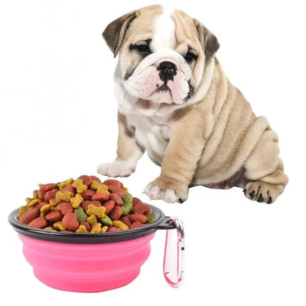 Silicone Folding Bowl for Pets on Daily Walks and Trips