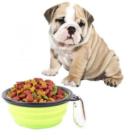 Silicone Folding Bowl for Pets on Daily Walks and Trips