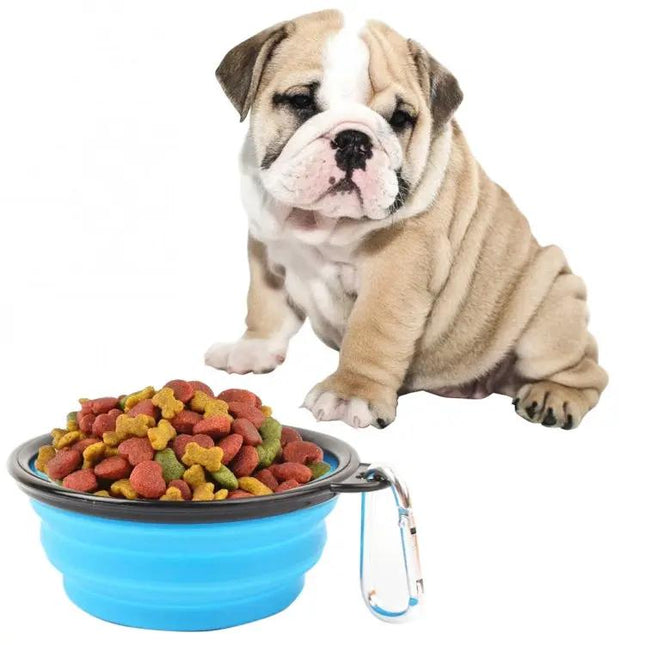 Silicone Folding Bowl for Pets on Daily Walks and Trips