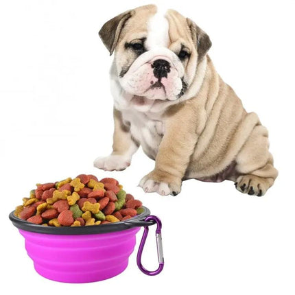 Silicone Folding Bowl for Pets on Daily Walks and Trips
