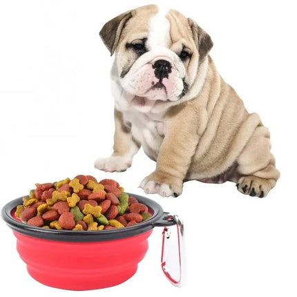 Silicone Folding Bowl for Pets on Daily Walks and Trips