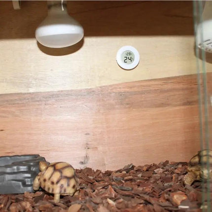 Reptile Enclosure Digital Round Thermometer and Hygrometer