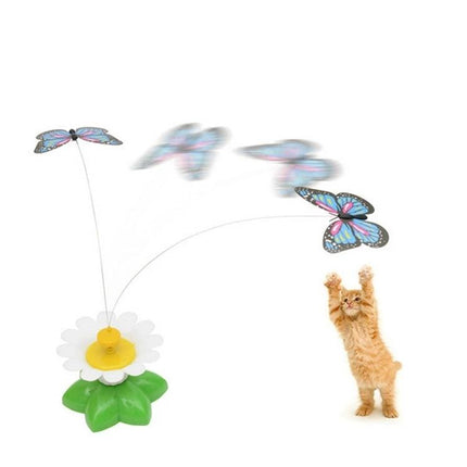 Cat Toy with Fluttering Butterfly for Indoor Playtime — electric flower base with moving butterfly engaging playful orange kitten
