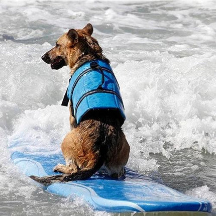 Pet Saver Dog Life Vest for Swimming and Boating Outings - brown dog wearing blue life vest on surfboard in ocean waves, reflective stripes visible