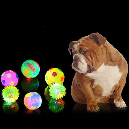 Interactive Glowing Ball for Dogs During Evening Walks with bulldog and glowing multi-color balls on black background