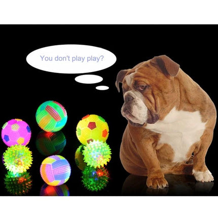 Interactive Glowing Ball for Dogs During Evening Walks - English bulldog eyeing colorful glowing fetch balls on black background