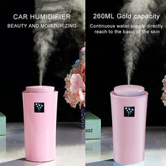 Compact 2W LED Humidifier with 260ml Water Tank and Night Light