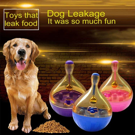 Daily interactive toy ball for dog training and playtime sessions with treat-dispensing balls and happy golden retriever