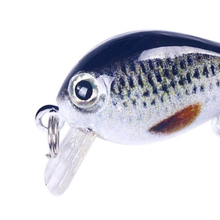 HENGJIA Floating Mini 2.5cm Luya Bait For Freshwater Fishing - close-up of realistic 2.5cm floating lure with 3D eyes and bright fish pattern