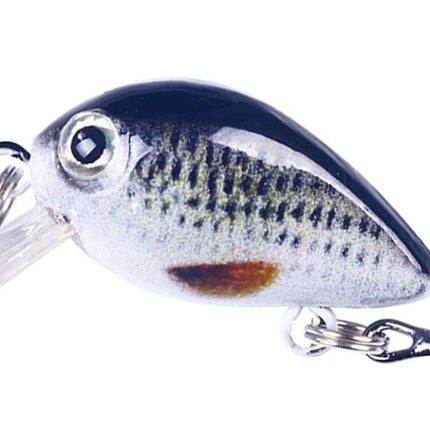 HENGJIA Floating Mini 2.5cm Luya Bait For Freshwater Fishing - compact 2.5cm floating lure with 3D eyes for ponds rivers lakes