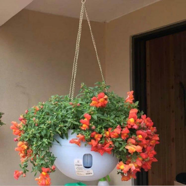 Hanging Plastic Flower Pot 24 x 18 cm With Chain Indoor Use - translucent plastic hanging planter with trailing red-orange blooms