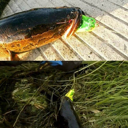 HengJia 5cm Biomimetic Mouse Fishing Lure For Freshwater showing lure hooked in large freshwater fish on grass and pavement