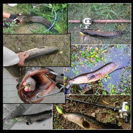 Hengjia 8 Cm Plastic Squid Lures For Casual Fishing – 8 cm lifelike plastic squid lures with 3D eyes shown paired with light tackle for pier and bay fishing