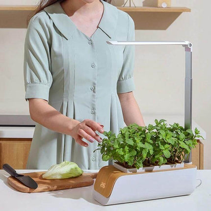 Hydroponic Full Spectrum Plant Growth Lamp for Home Vegetables and Flowers on a kitchen counter with herbs under adjustable LED arm