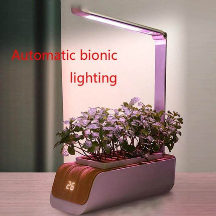 Hydroponic Full Spectrum Plant Growth Lamp for Home Vegetables and Flowers on desk with LED arm, USB Type‑C, compact hydroponic planter and pink grow light
