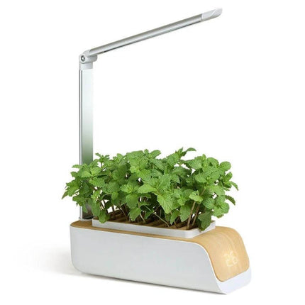 Hydroponic Full Spectrum Plant Growth Lamp for Home Vegetables and Flowers on desk with USB Type-C, 6W, red blue white LEDs for indoor herbs and small gardens