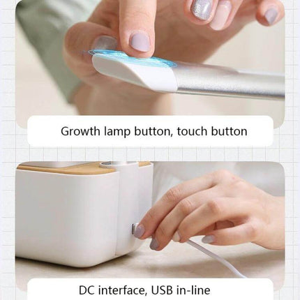 Hydroponic Full Spectrum Plant Growth Lamp for Home Vegetables and Flowers showing touch button and USB Type-C cable connection