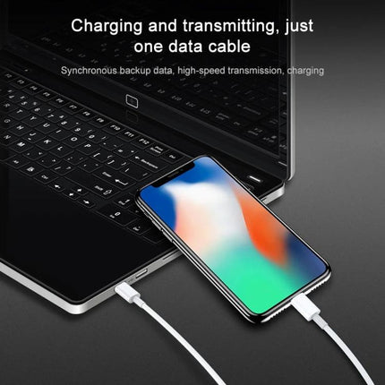 AWEI Type-C Cable for Daily Device Charging Needs charging smartphone and laptop with reversible connector for commuting and data transfer