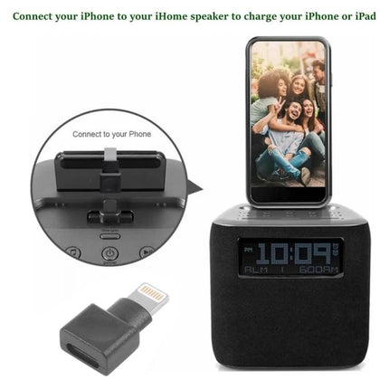 Daily Use Adapter for Phones with Protective Cases connecting iPhone to speaker for charging without removing bulky case