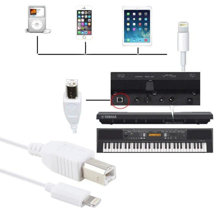 Cable for Connecting iPad to Electronic Piano Practice Sessions showing Lightning-to-USB-B cable connecting iPad/iPhone to USB piano port for practice