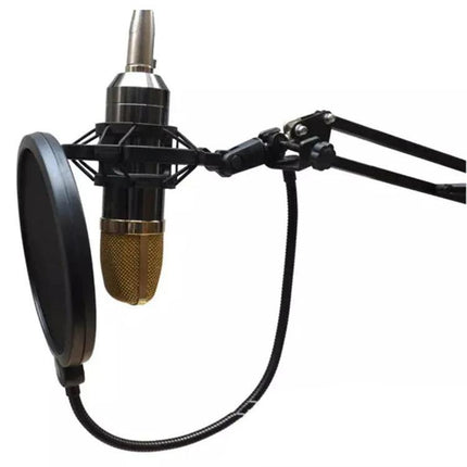 Shock Mount for Home Recording Sessions and Live Events with condenser mic, pop filter and adjustable boom arm for clear podcast and live audio
