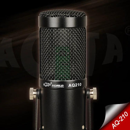 Compact Microphone for Home Singing and Casual Recording - plug-and-play studio mic for practice sessions and simple home recordings