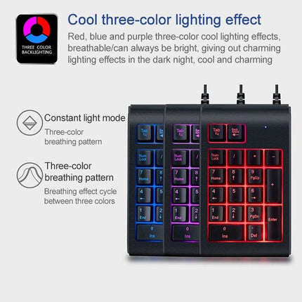 MC Saite Compact 19-Key Wired Backlit Numeric Keyboard showing three-color red blue purple backlighting on durable ABS wired USB numpad