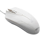 119 White / White