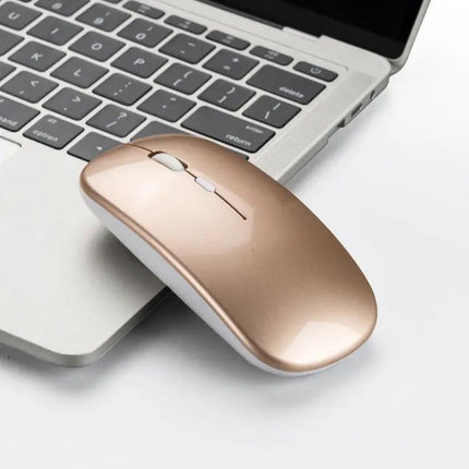 HXSJ Comfortable Wireless Mouse with Silent Clicking for Daily Use