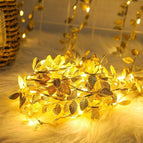 3m 30 Lights