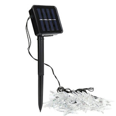 Starry 20-LED Solar String Lights for Outdoor Garden and Holiday Decor