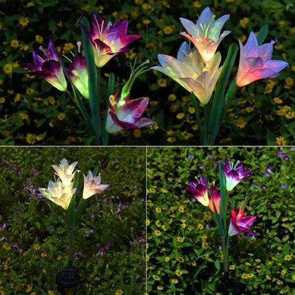 Simulated Lily 4-Head Solar Outdoor LED Lawn Lamp Decorative