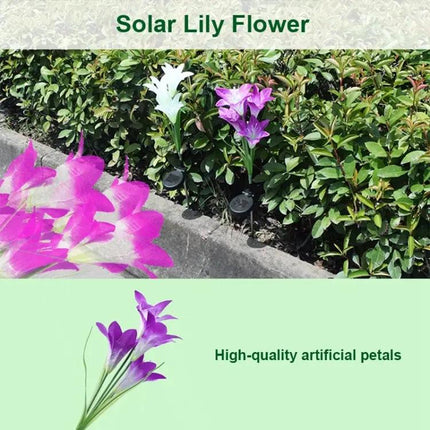 Simulated Lily 4-Head Solar Outdoor LED Lawn Lamp Decorative | Syndmart