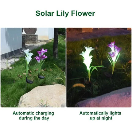 Simulated Lily 4-Head Solar Outdoor LED Lawn Lamp Decorative | Syndmart