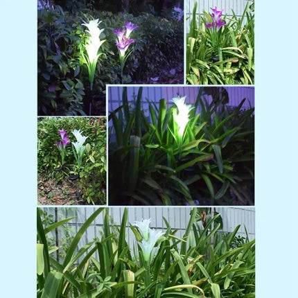 Simulated Lily 4-Head Solar Outdoor LED Lawn Lamp Decorative | Syndmart