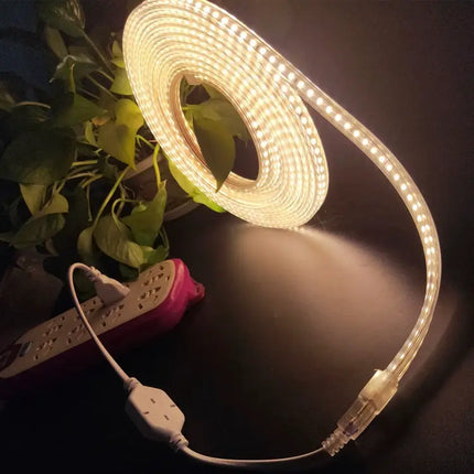 LED Strip Light 10m for Home Decor, EU Plug, General Use
