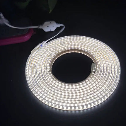 LED Strip Light 10m for Home Decor, EU Plug, General Use
