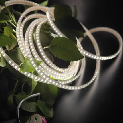 LED Strip Light 10m for Home Decor, EU Plug, General Use