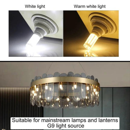 Essential LED Light Bulb for Daily Home Illumination in white and warm white G9 lamp showcasing low-heat steady light for living room and kitchen tasks