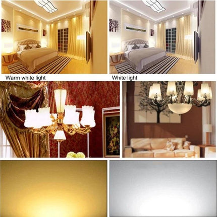 Energy-Efficient LED Bulb for Everyday Home Lighting showing warm and cool white room lighting examples