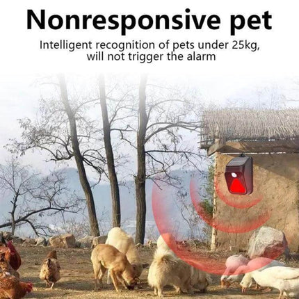 Solar Burglar Alarm Light With Motion Sensor For Outdoor Use mounted near farm animals showing pet-immunity motion detection and alarm deterrent