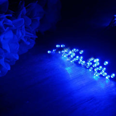 Festive 100 LED Decorative Lighting Display