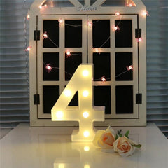 Battery-Operated Warm White Decorative Standing and Hanging Holiday Light