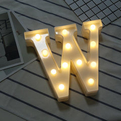 Battery-Operated Warm White LED Decorative Holiday Light for Indoor Use