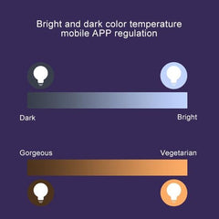 Smart LED Light with 3000K + RGB Color Modes, Works with Alexa & Google Home, 1050 LM, AC 230V